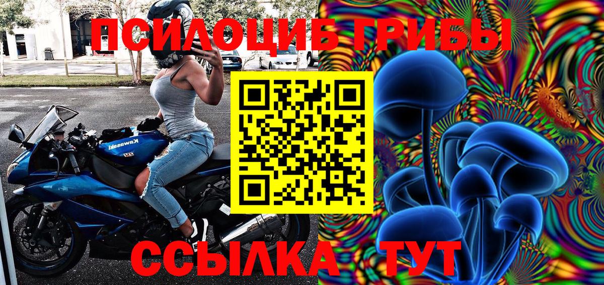 Псилоцибиновые грибы мухоморы  Псилоцибиновые грибы MAGIC MUSHROOMS  Махачкала  Вход с VPN 