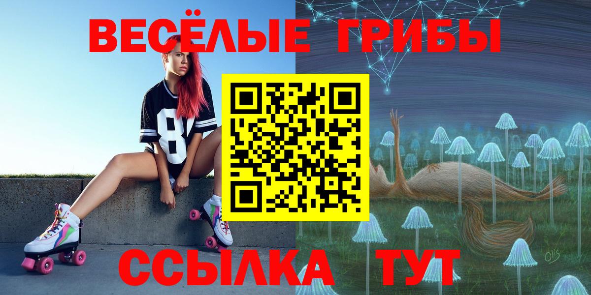 Псилоцибиновые грибы Psilocybe Махачкала